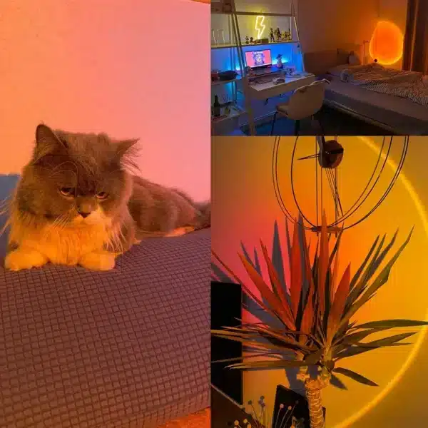 USB Sunset Light LED Rainbow Neon Night Lamp Sunset Projector Self Photography Light Wall Atmosphere Lighting For Bedroom Decor